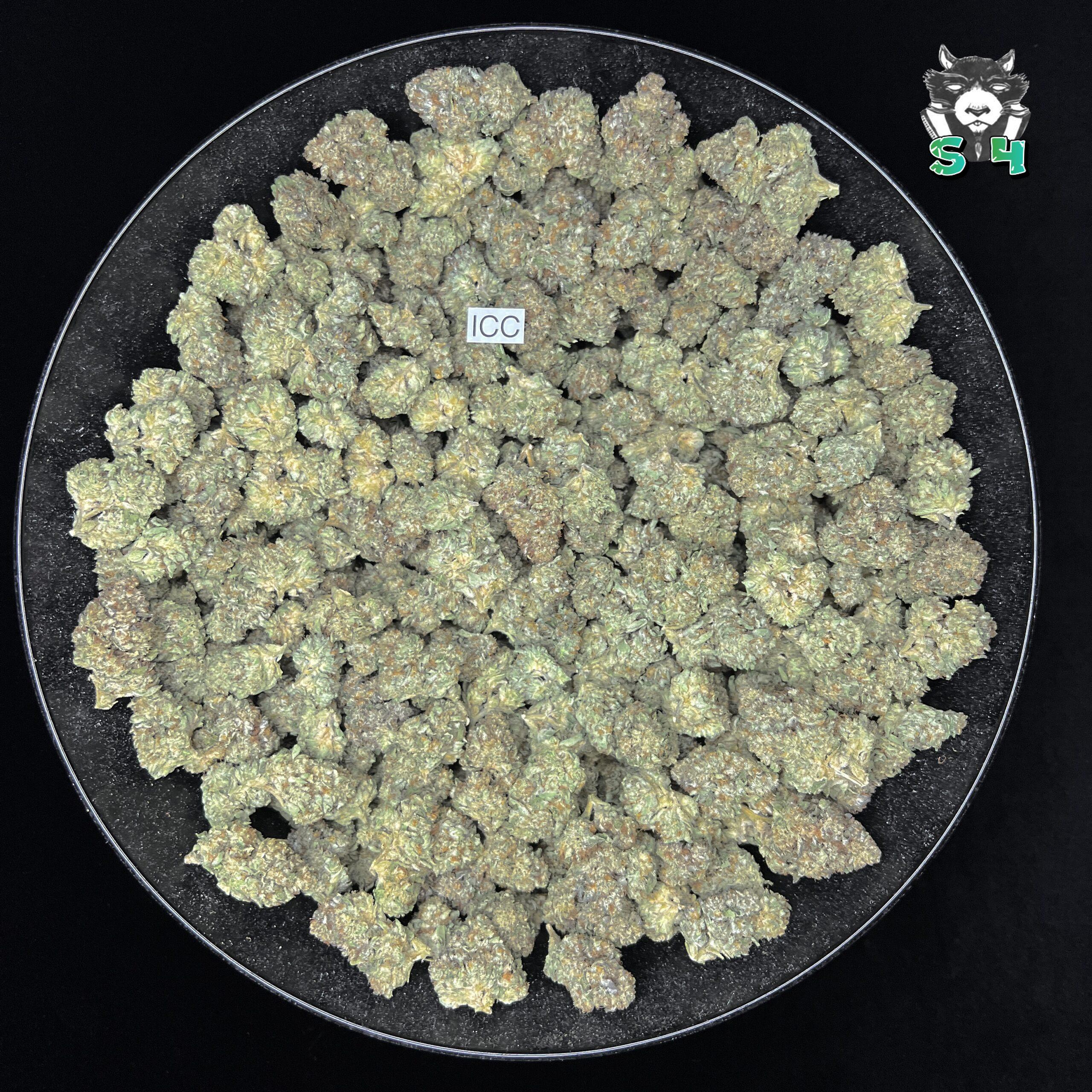 ICC - 64T5 - Image 2