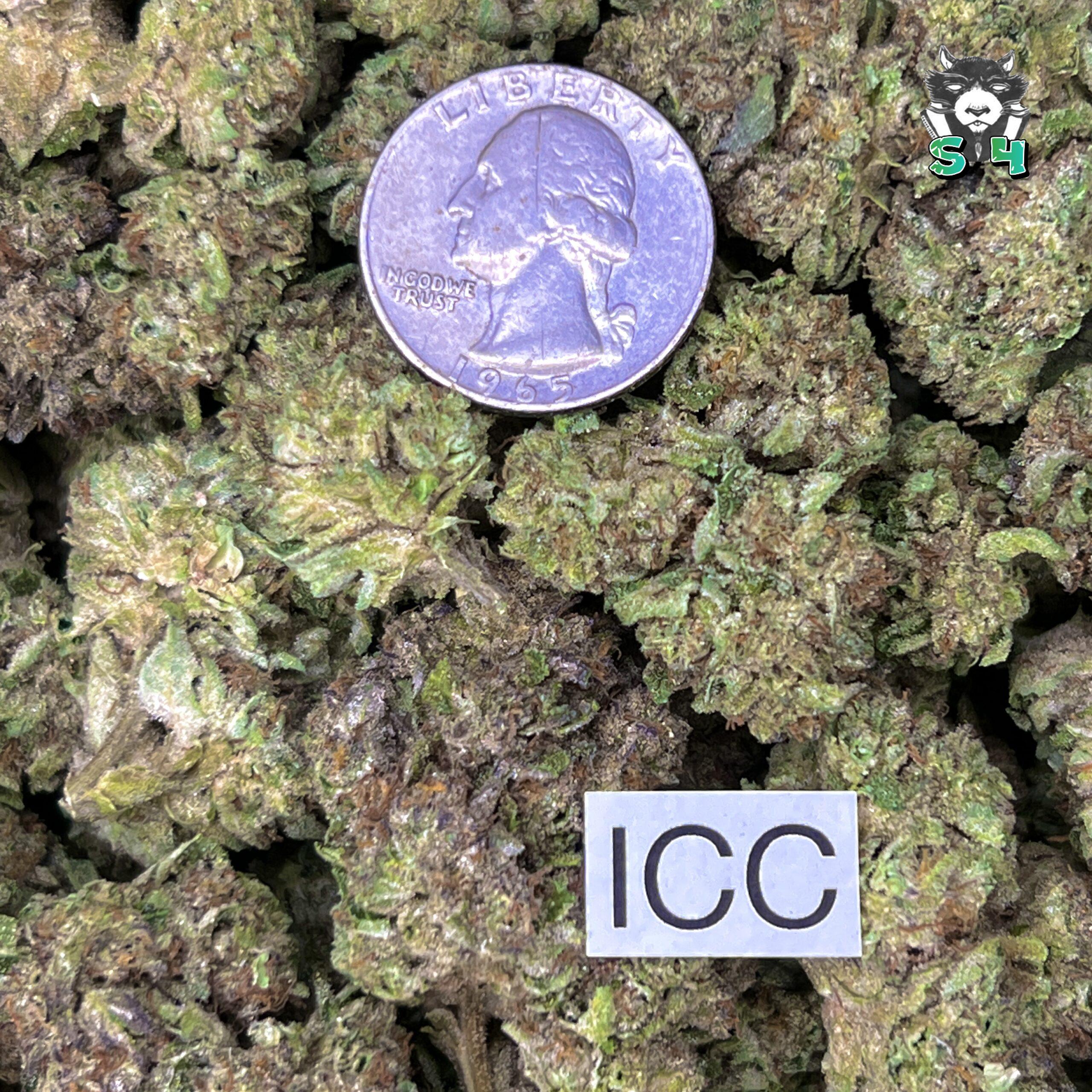 ICC - 64T5 - Image 3