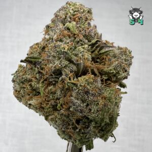 Pink Starburzt - 61D14