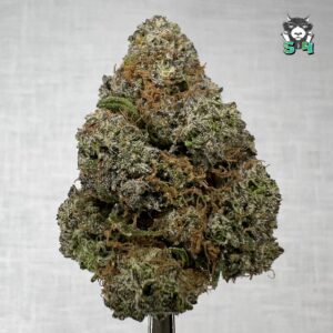 Candy Lemon Cherry Gelato - 96D14