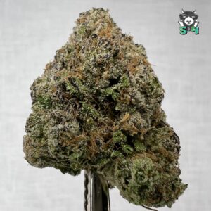 Cherry Warheadz - 29D14