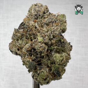 Lemon Cherry Gelato - 97W6