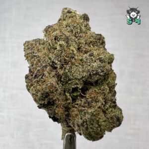 Pineapple Driver - 48J7