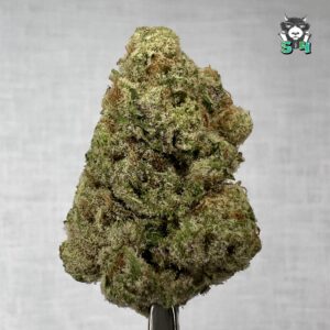 Georgia Pie X Skittles - 28J7