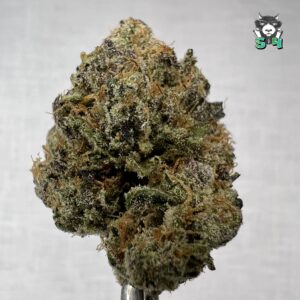 Sugar Sap Runtz - 83Q9