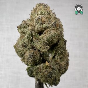 Frosted Cherry Cookies - 20S44