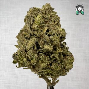 LA Pop Rocks - 37T12