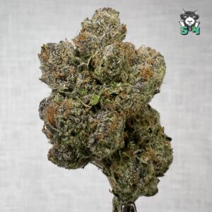 Cotton Candy LCG - 33Z2