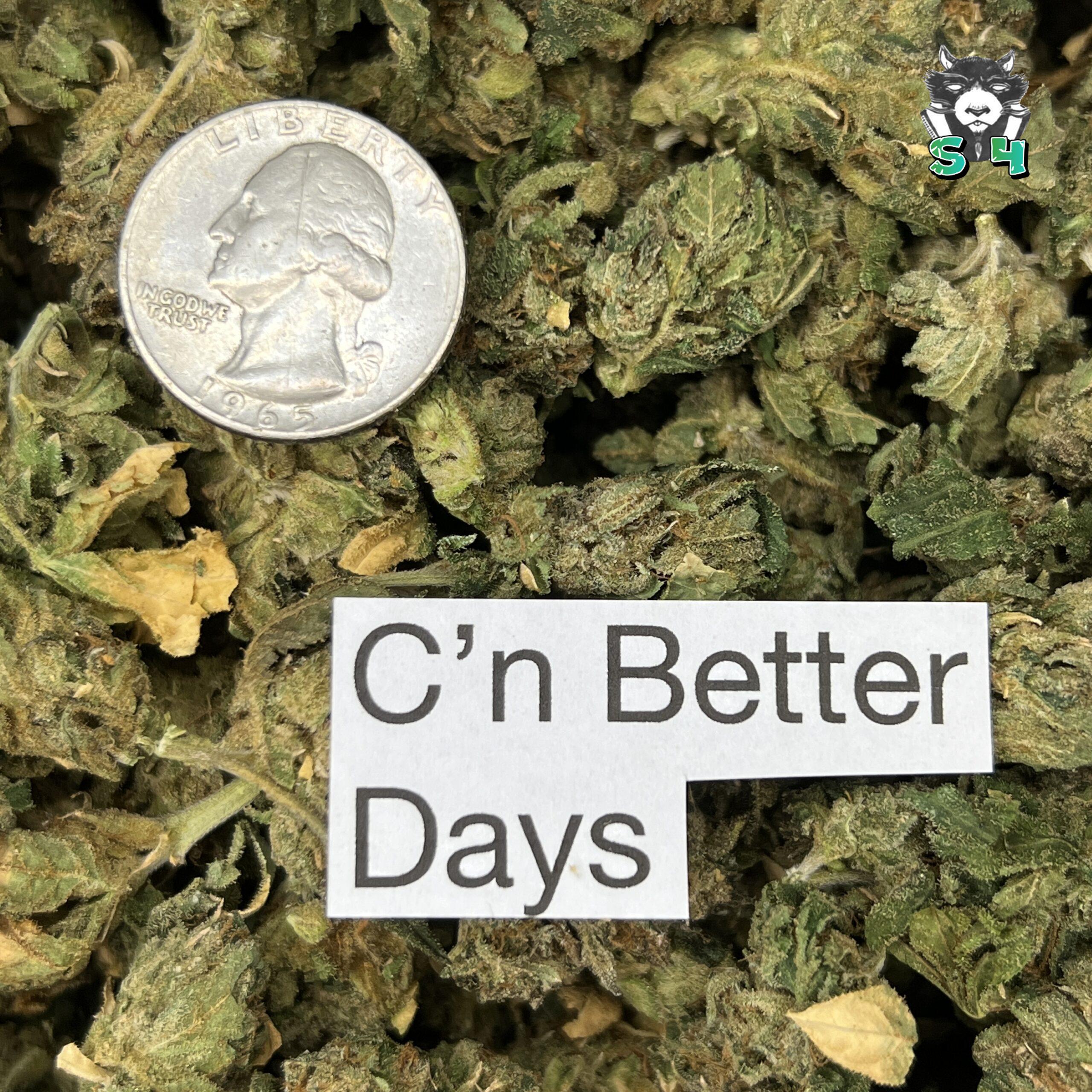 C’n Better Days - 24M9 - Image 3