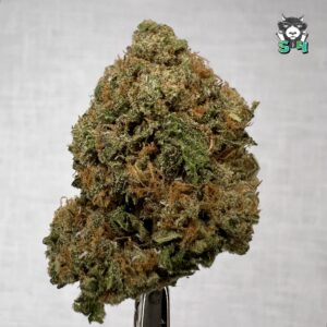 Grape Gas - 70T24