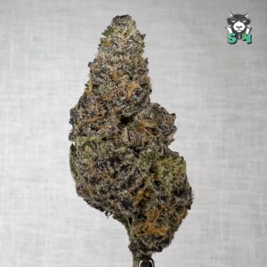 Blue Gas Berries - 53M18