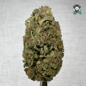 Blueberry Cake - 58L4