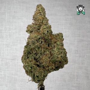 Durban Clementine - 18D9