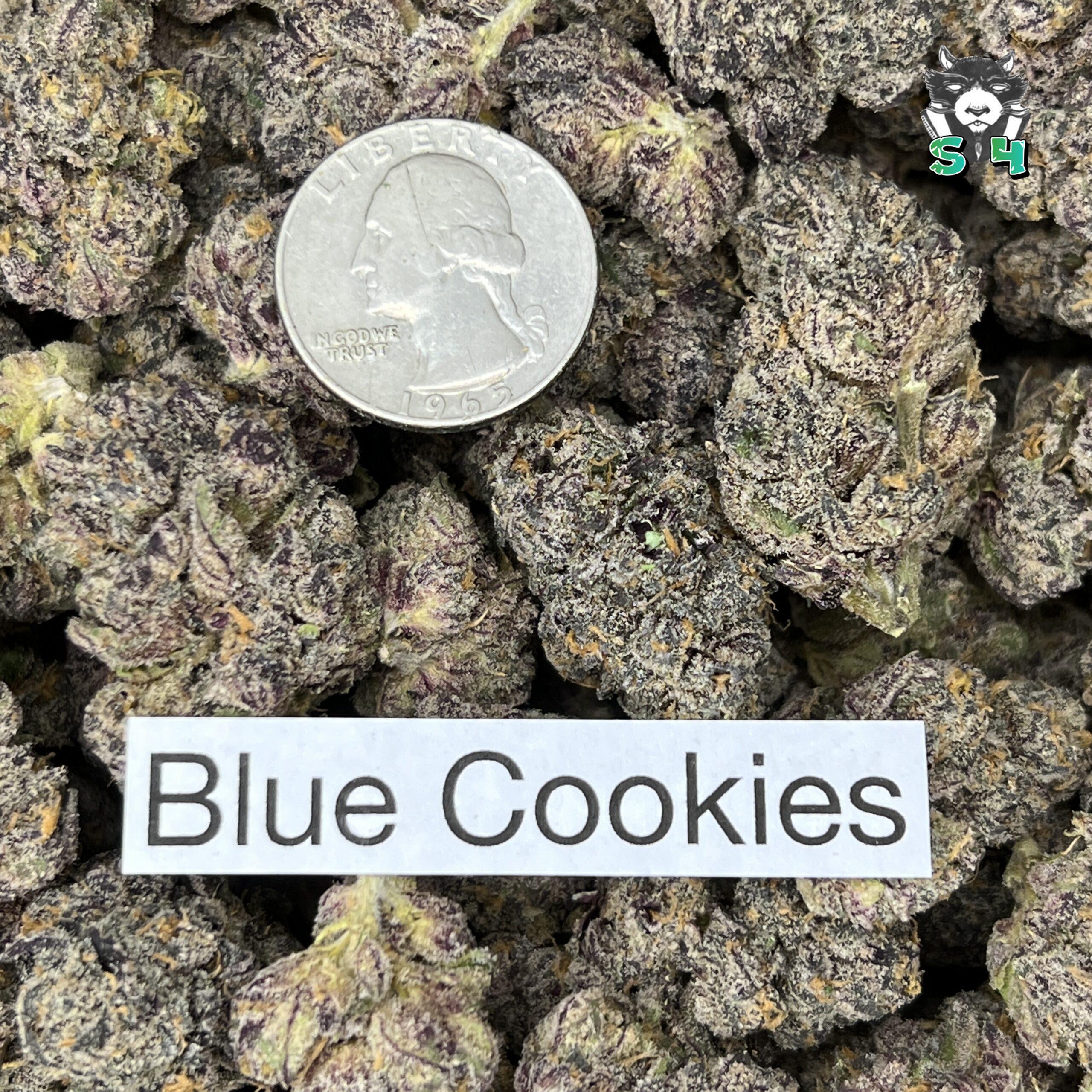 Blue Cookies - 26A4 - Image 3