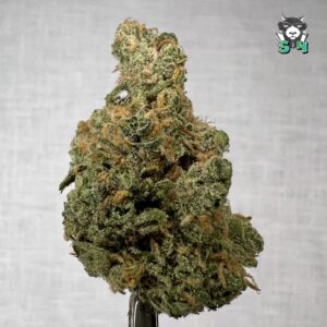 Blue Dream - 63D6