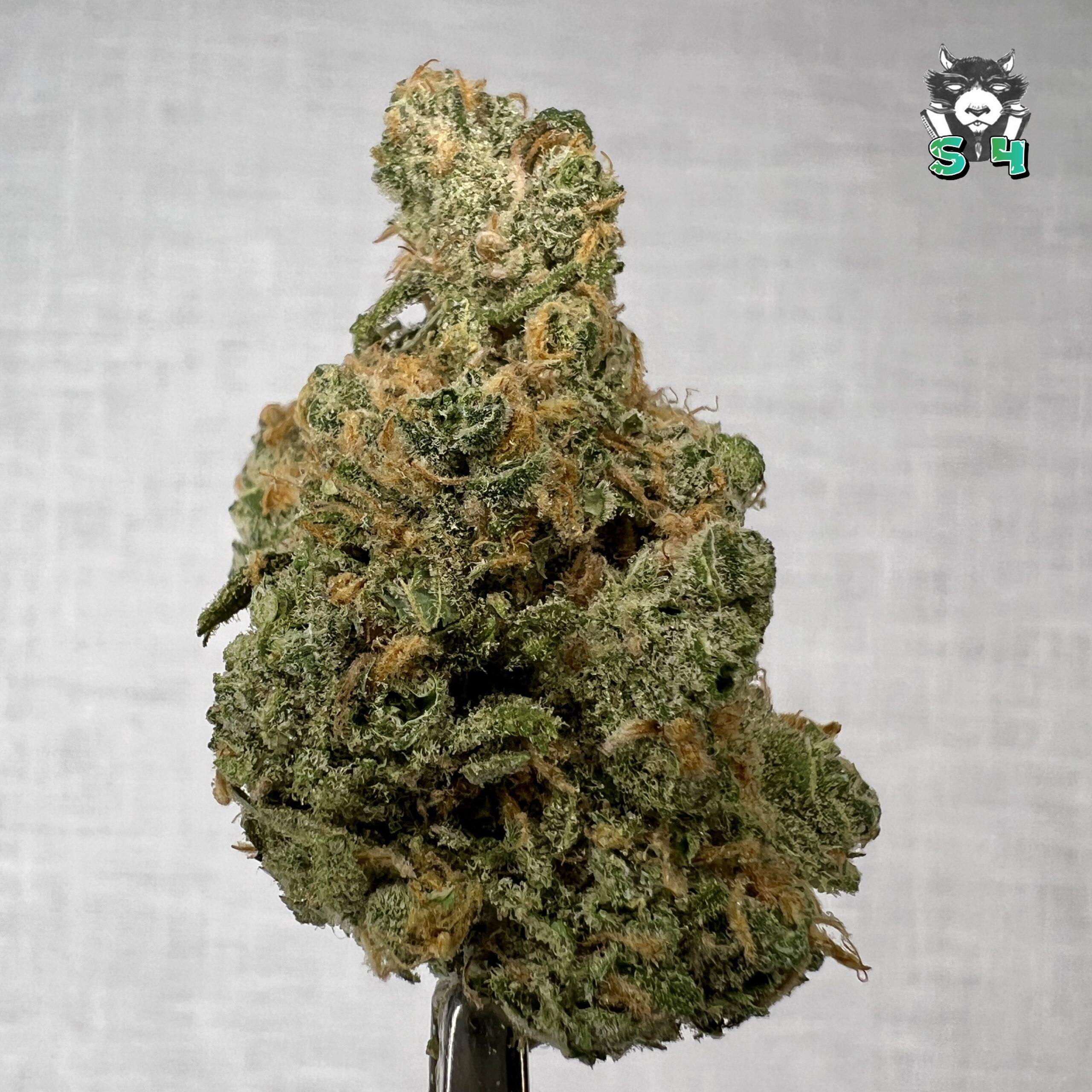 Blue Dream - 63D6