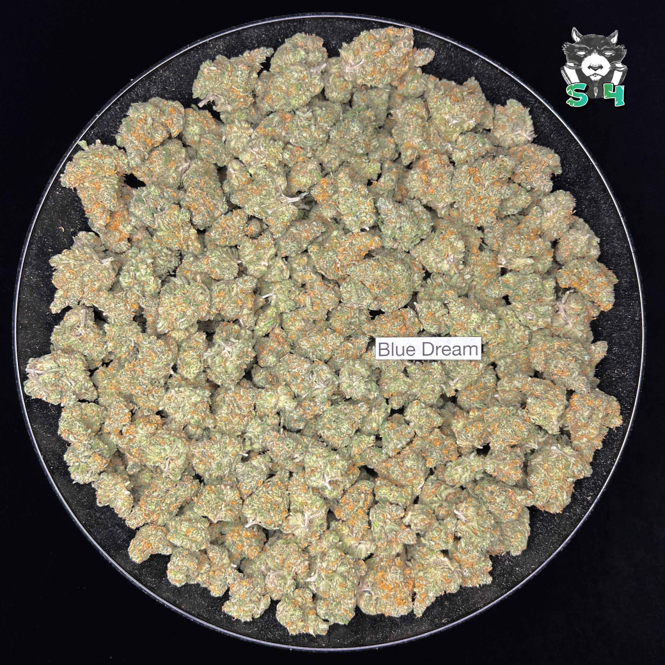 Blue Dream - 63D6 - Image 2