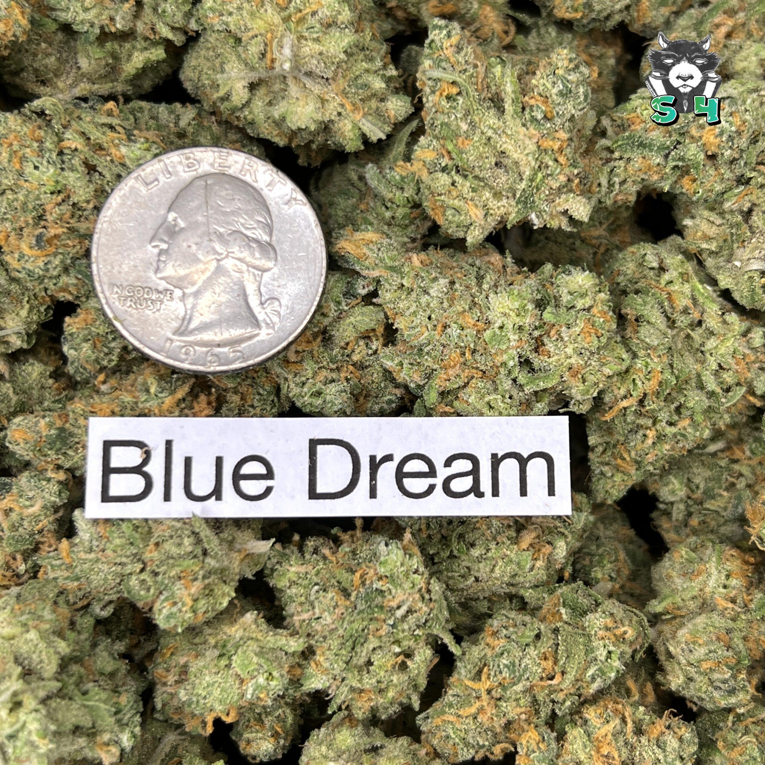 Blue Dream - 63D6 - Image 3