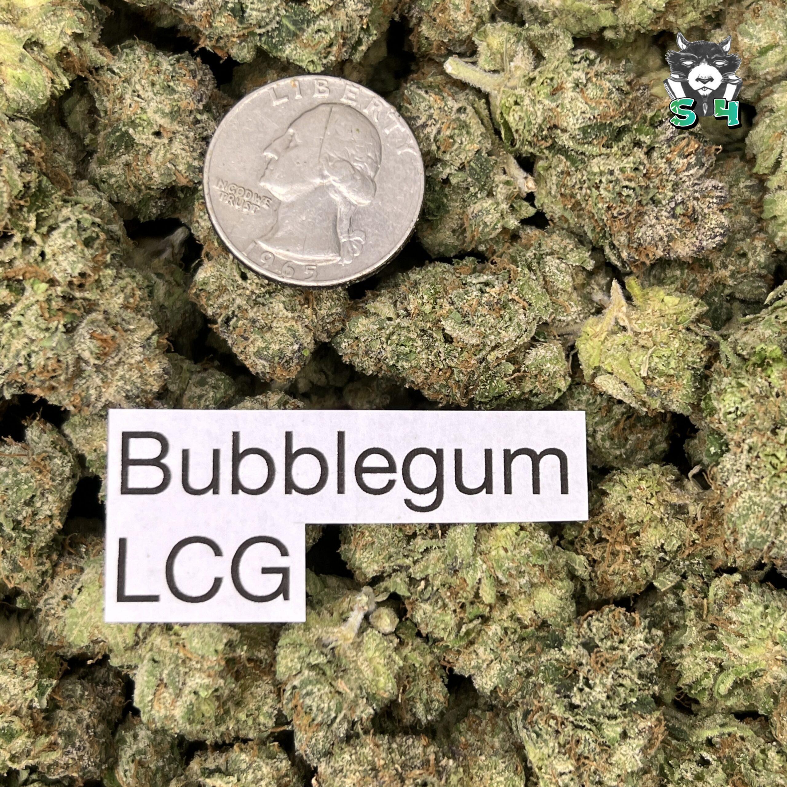 Bubble Gum Lemon Cherry Gelato - 71P7 - Image 3