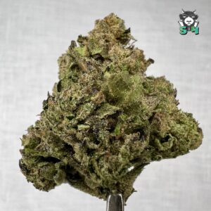 Blueberry Runtz - 15T12