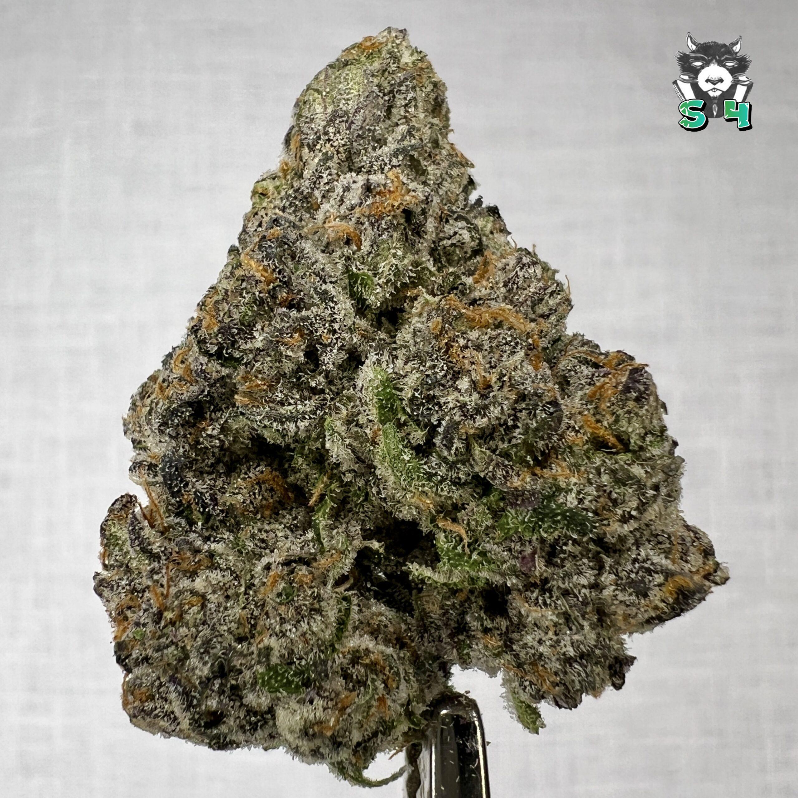 Biscoff Ether - 25V4