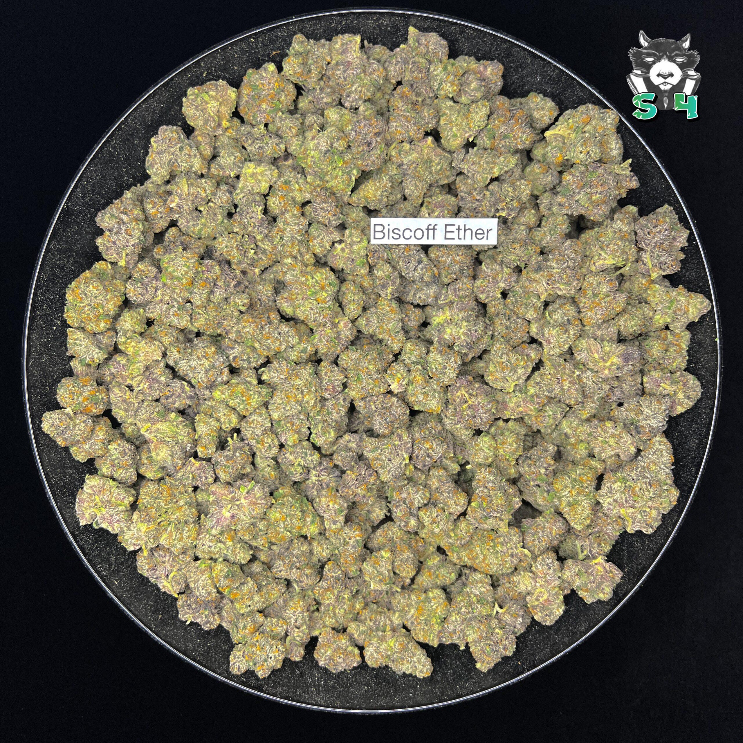 Biscoff Ether - 25V4 - Image 2