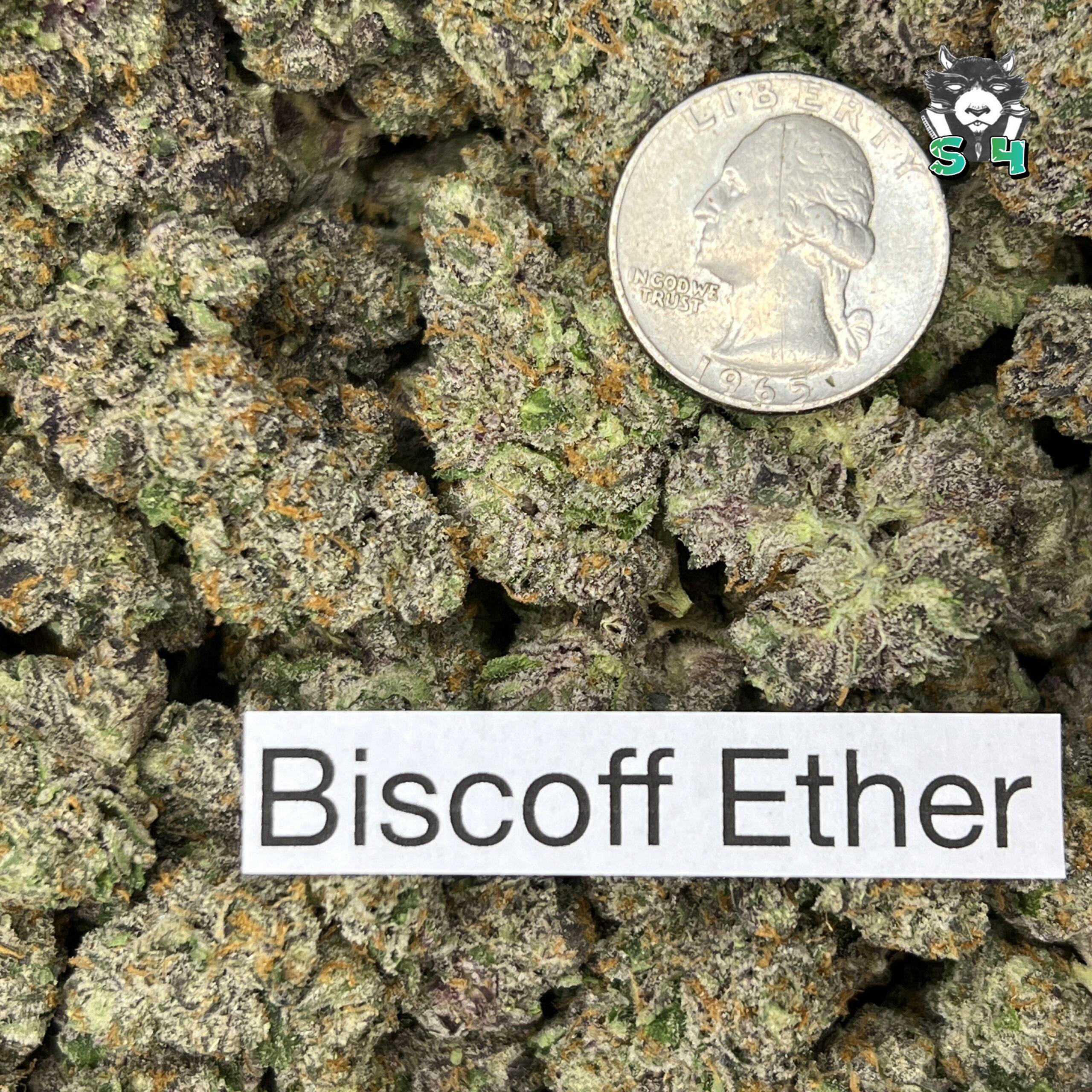 Biscoff Ether - 25V4 - Image 3