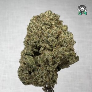 Blue Guava - 53Q9