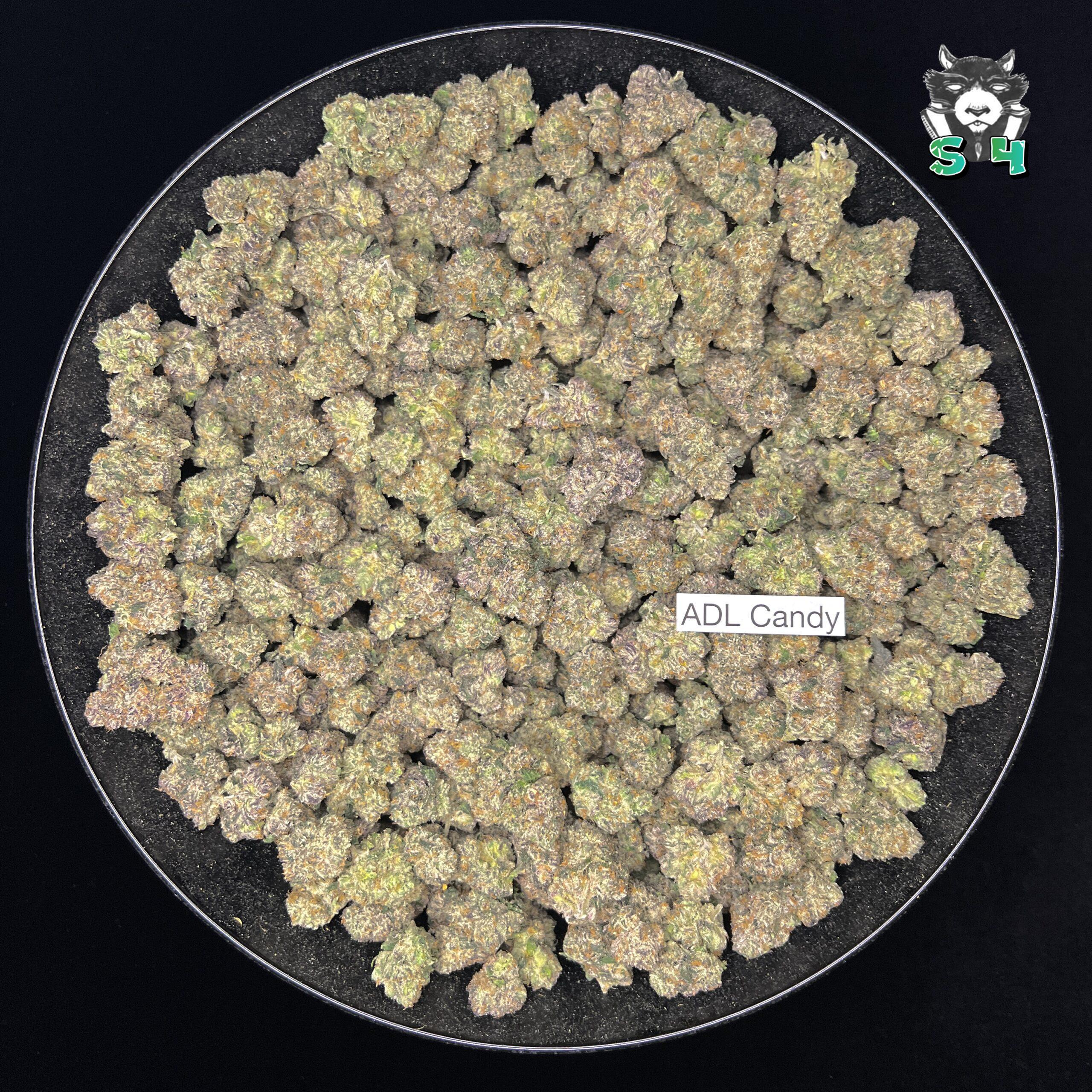 ADL Candy - 71P4 - Image 2