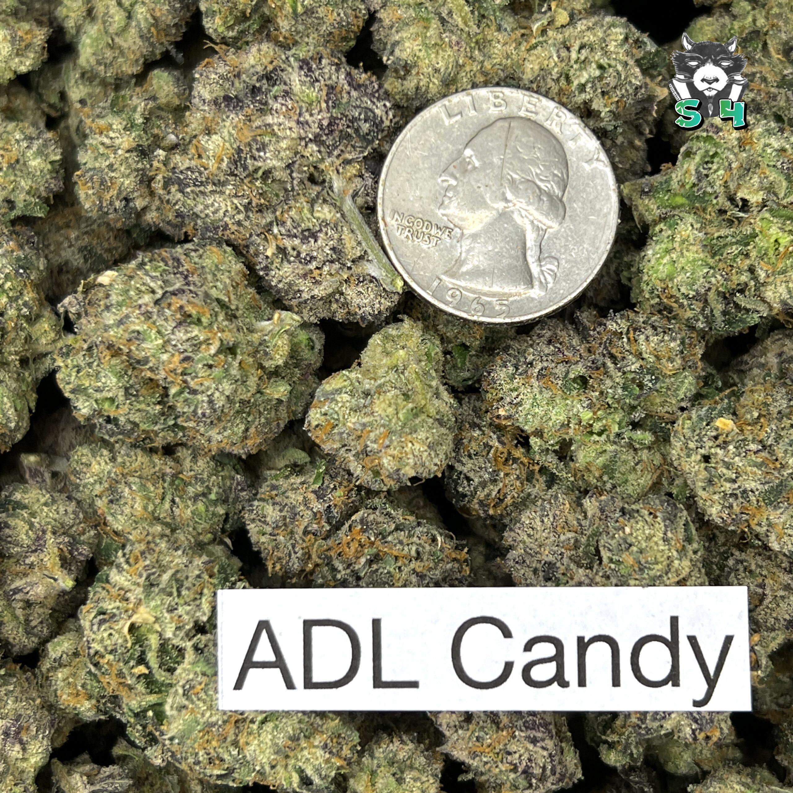 ADL Candy - 71P4 - Image 3