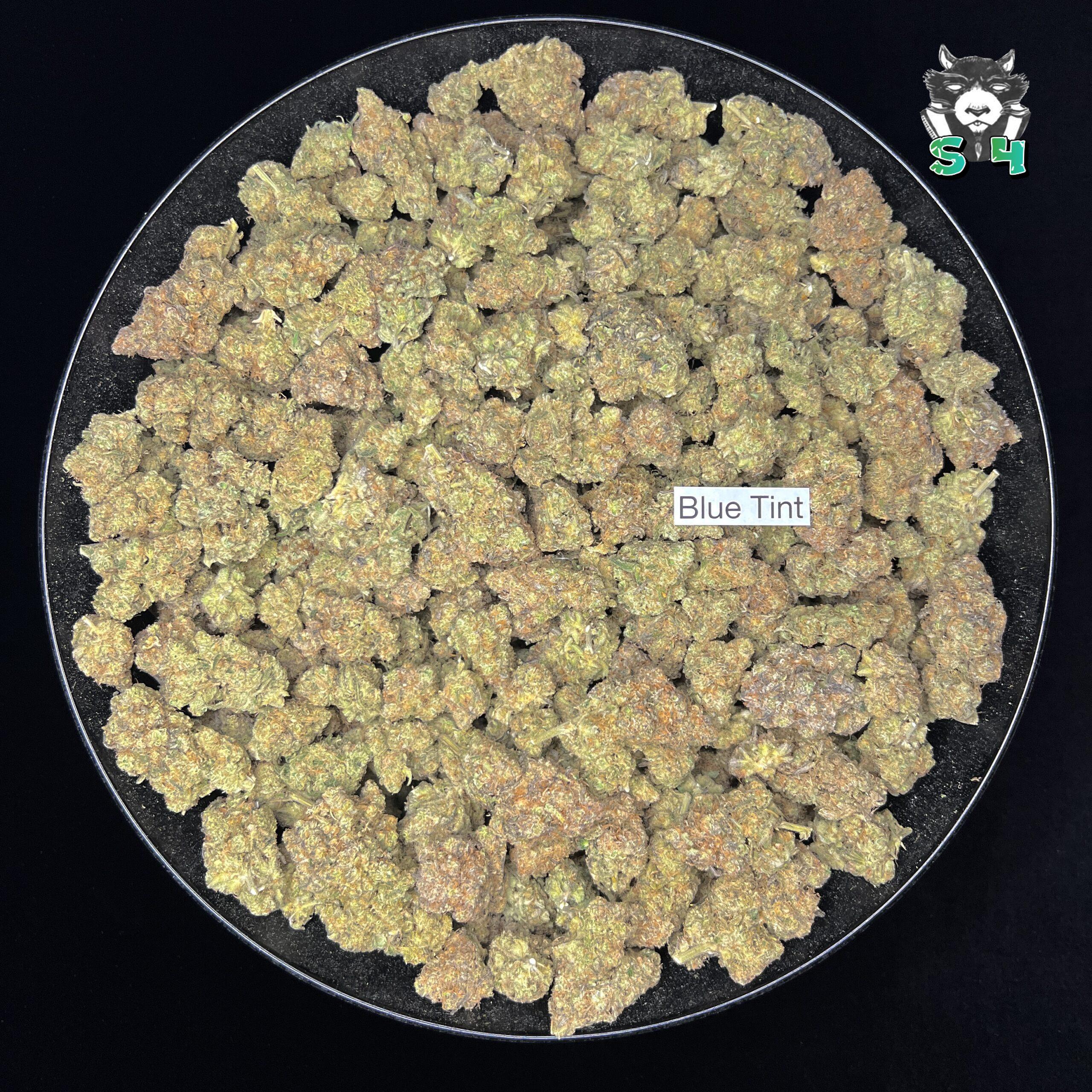 Blue Tint - 59F2 - Image 2