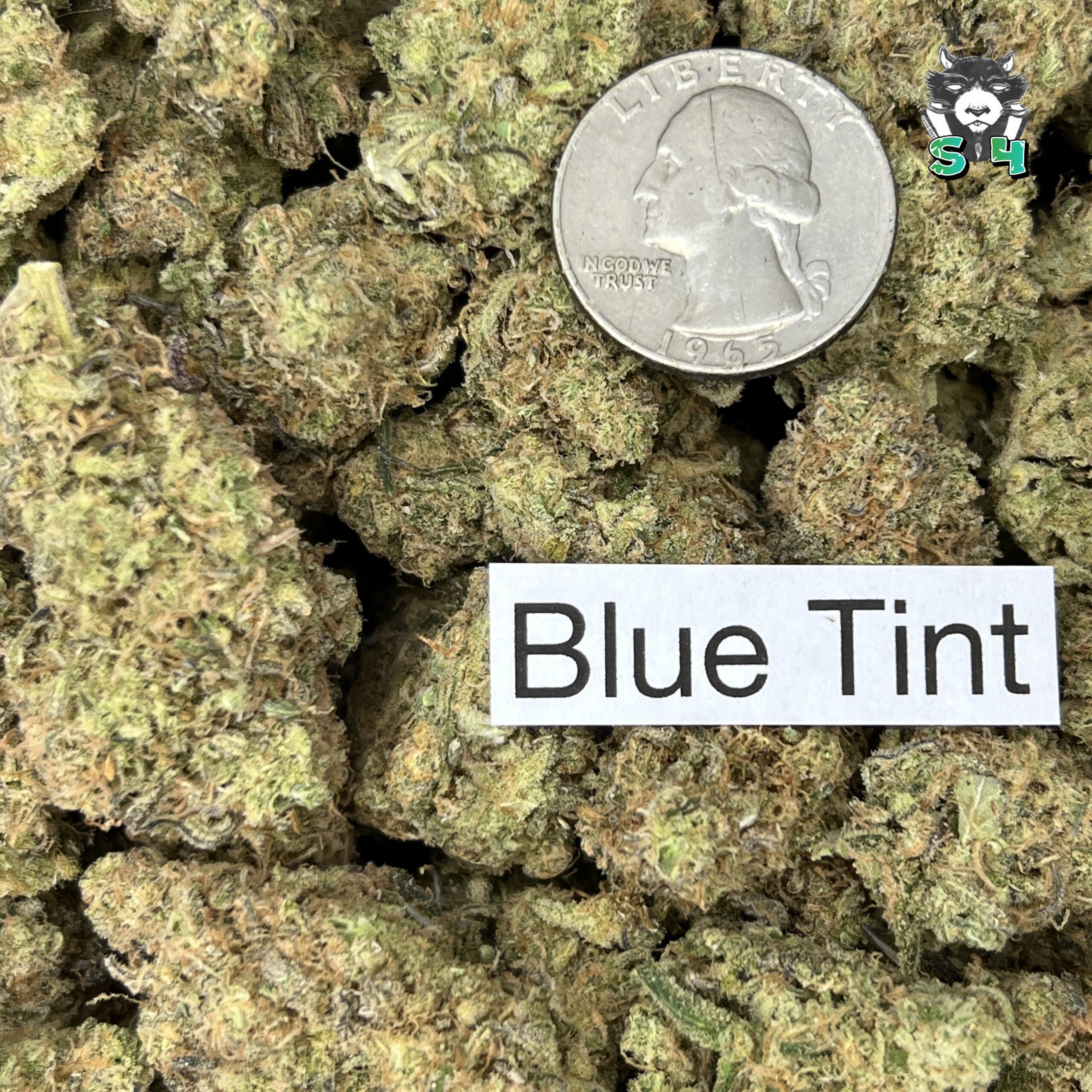 Blue Tint - 59F2 - Image 3