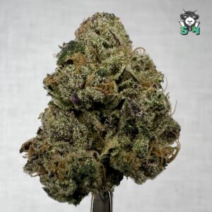 Righteous Runtz - 22N21