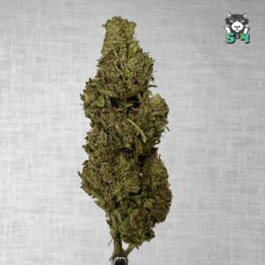 Gorilla Glue - 66C18