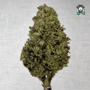 Lemon Cherry Biscotti - 33S7