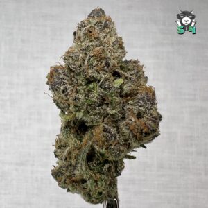 Forbidden Candy 36% ! - 78Z4