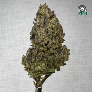 Grapes N Cream - 92T23