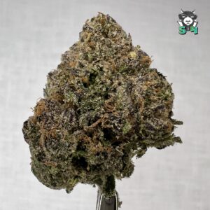 Super Sweet Candy - 96P7