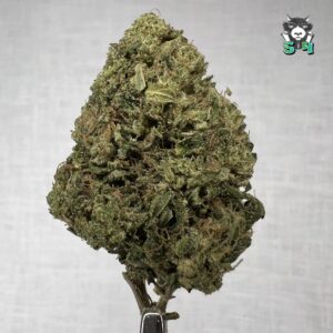 Double OG Sour - 38T12