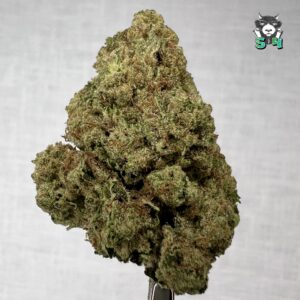 Donkey Butter - 12T77