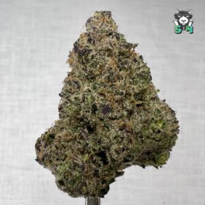 Good & Plenty Candies - 23P7