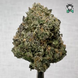 Smoker Candies - 37Z2