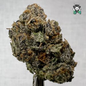 Sin City Runtz - 91K3