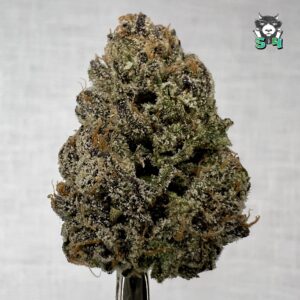 Original Runtz - 73K3