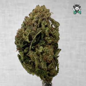 Don Merfo LCG - 51K3