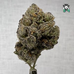 Bubble Gum Lemon Cherry Gelato - 10K3