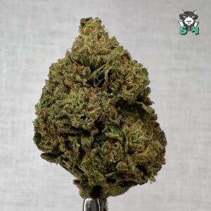 Pablos Revenge - 87K3