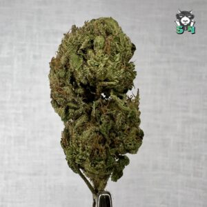 Glazed Cherry Runtz - 71K3