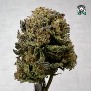 Super Gelato - 52S8