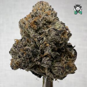 Greasy Runtz - 56D14